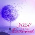 Ein-Hauch-von-Buecherwind