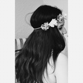 allabout_books_