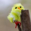 leseHuhn