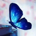 BookWonderland