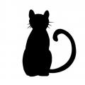 bookcatlady