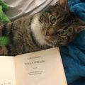 AdorableBooks