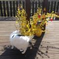 Kater2308