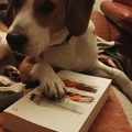 LostIinBooks