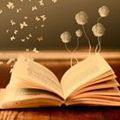 limabooks24