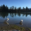 Lieblingsbaksi