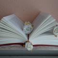 WriteMeANovel