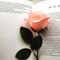 Lovely-bookish