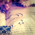 RavenBook