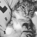 sabrina_sbs