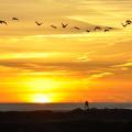 Ameland