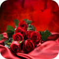 Hanna_hmb9