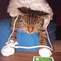 sabrina_sbs