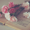 cityofbooks