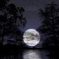 LadyMoonlight