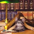 WiseGirlKat