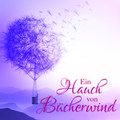 Ein-Hauch-von-Buecherwind