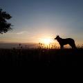 countrywoman