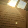 Ronjas_Bookworld