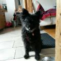 Nellie1302