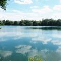 TheLidel