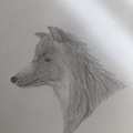 Nanja