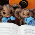 the2bookaholics