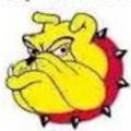 yellowdog