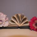 Booklover123