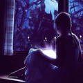 Feli-Booksdream