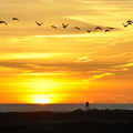 Ameland